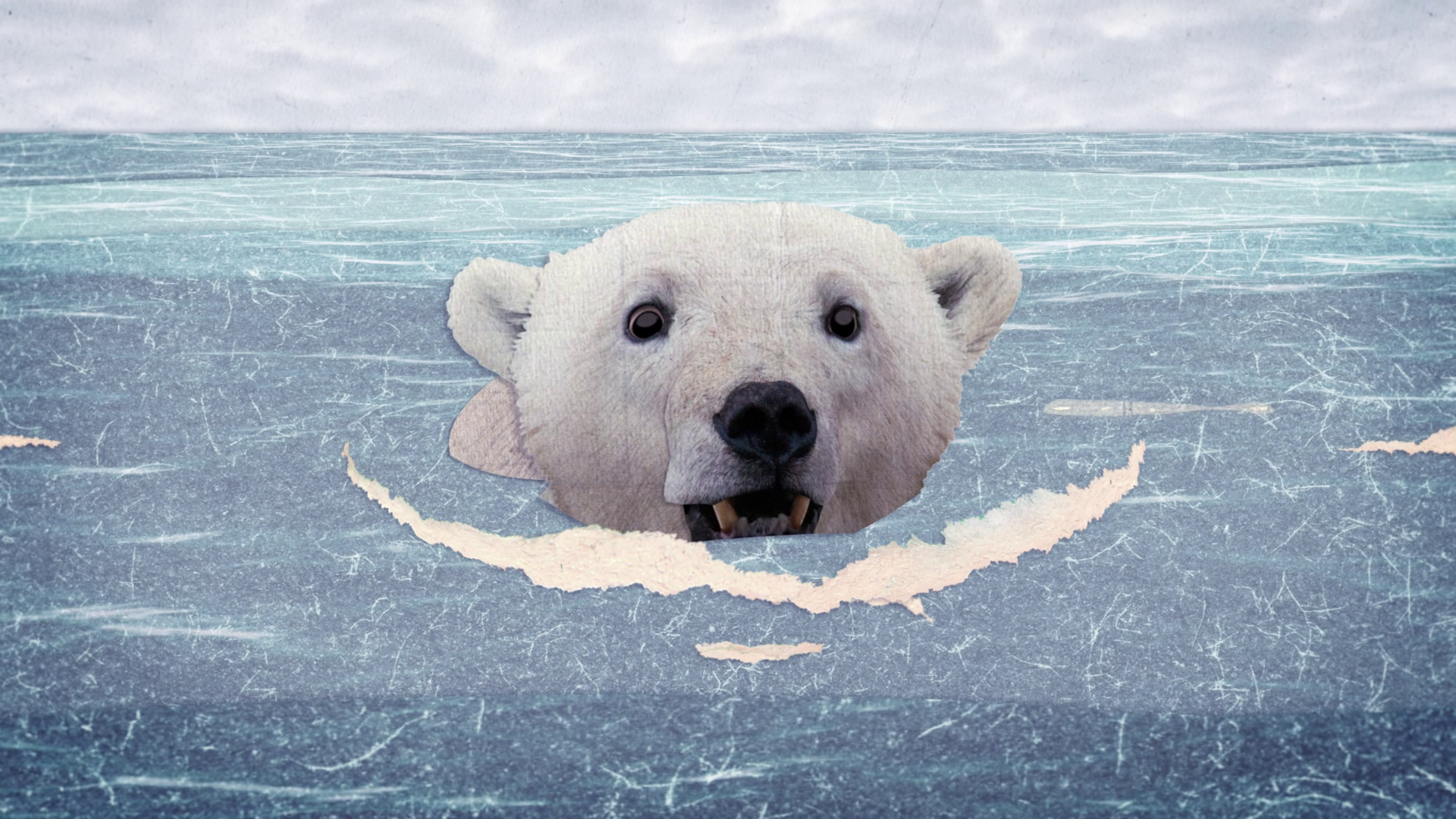 Polar Bears and Food Waste
